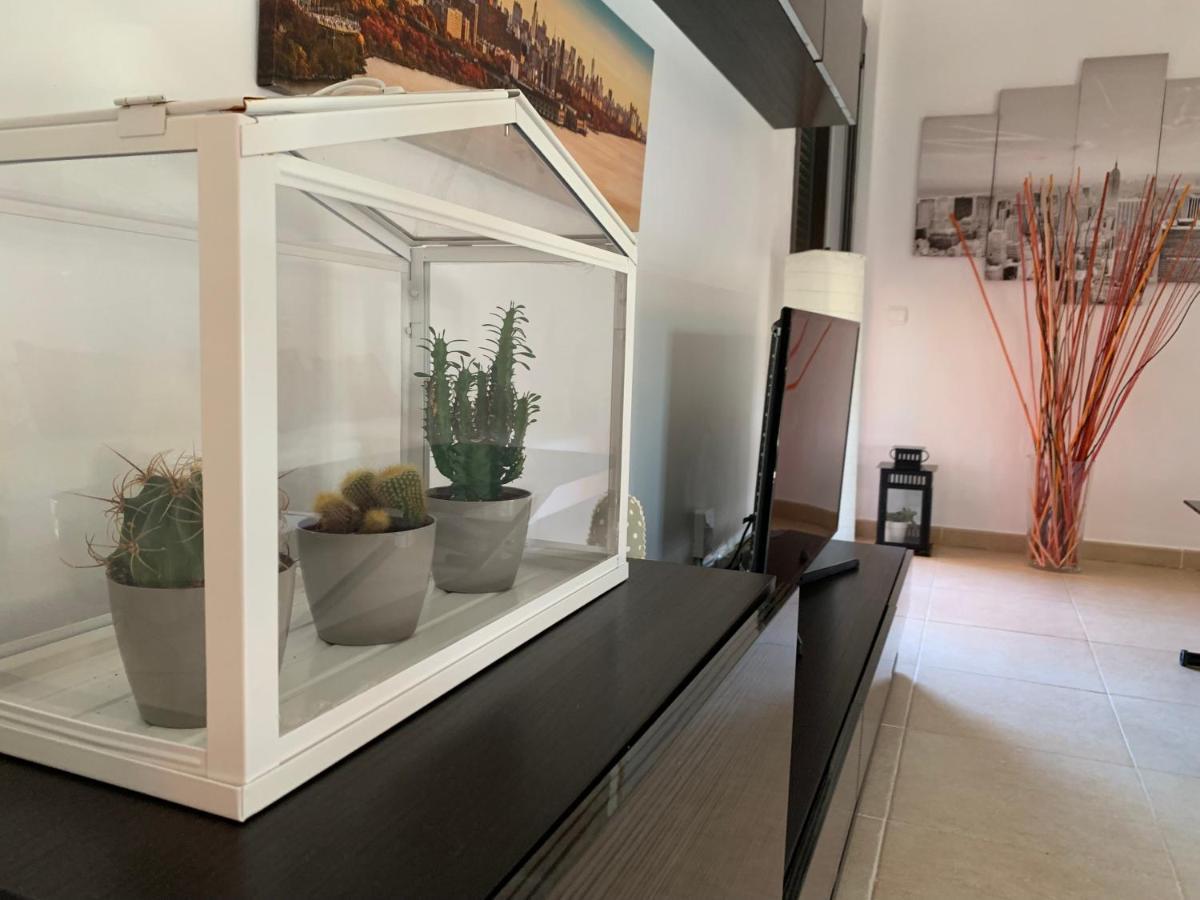 Luminoso Y Elegante, Piscinas Y Pistas De Padel Apartment Палм-мар Екстериор снимка